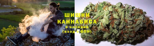 PSILOCYBIN Вяземский