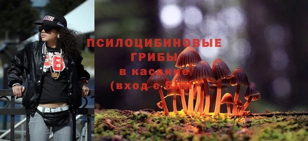 PSILOCYBIN Вяземский
