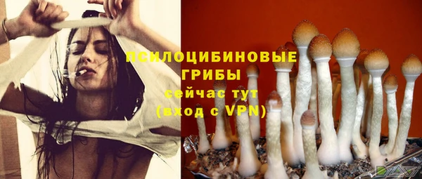 соль курить ск Вязьма