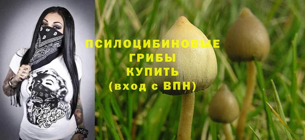 PSILOCYBIN Вяземский