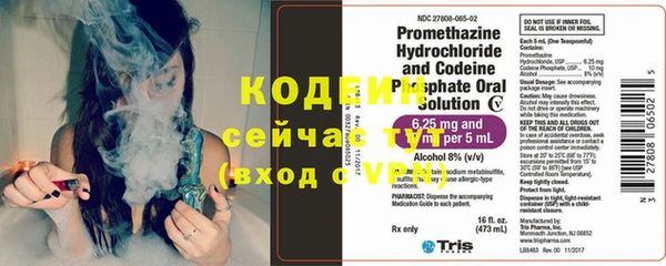 PSILOCYBIN Вяземский