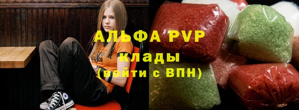 PSILOCYBIN Вяземский