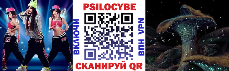 Псилоцибиновые грибы Psilocybe  Купить  Валдай 